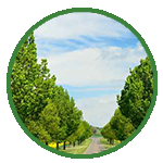 Approved Villa Plots for sale in Manapakkam, Porur, Chennai | Land for sale in Manapakkam- Emerald Enclave by Urban tree
